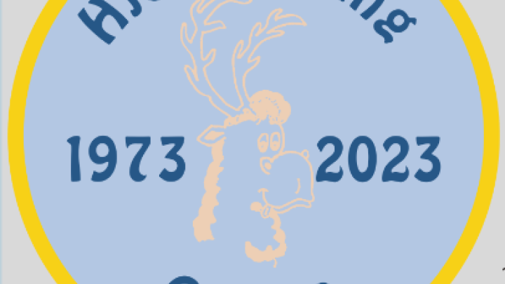Logo til spejdermærke